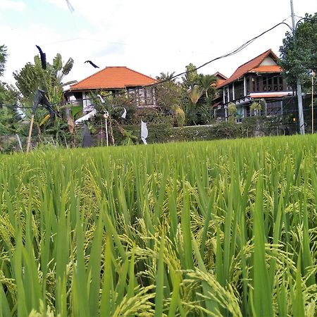Umah Watu Villas Семиньяк Экстерьер фото